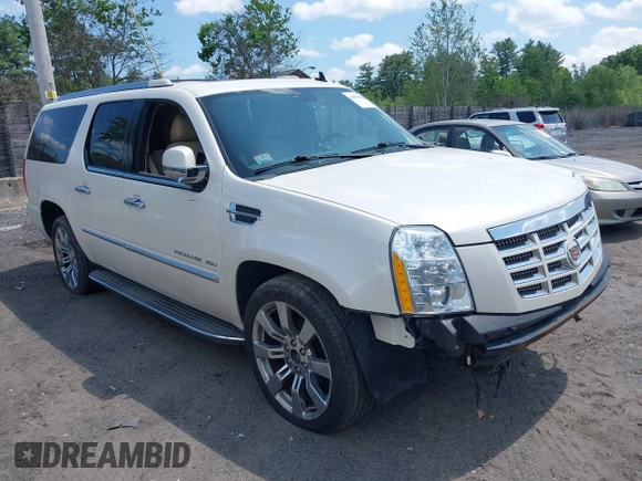 2013 Cadillac Escalade ESV Luxury с VIN 1GYS4HEF1DR228321, выставлен на аукционе IAAI как лот 42536138 с пробегом 160 957 миль миль и . История ставок и продаж доступна на DreamBid. Изображение 1.