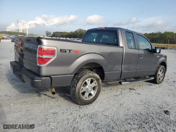 2010 Ford F-150 XL with VIN 1FTEX1CW3AFA31233, listed as a Copart auction lot 51651075 with 248,857 mi miles and Clean Title. Bid and sale history available at carsss.com. Image 3.