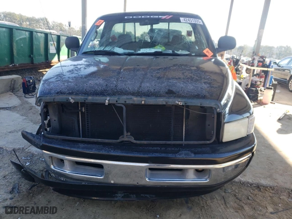 1999 Dodge Ram 1500 with VIN 3B7HC16Y4XM500716, listed as a Copart auction lot 42451335 with 250,041 mi miles and Salvage Title. Bid and sale history available at carsss.com. Image 5.