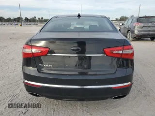 2014 Kia Cadenza Premium with VIN KNALN4D77E5138607, listed as a Copart auction lot 84389434 with 124,985 mi miles and Salvage Title. Bid and sale history available at carsss.com. Image 6.