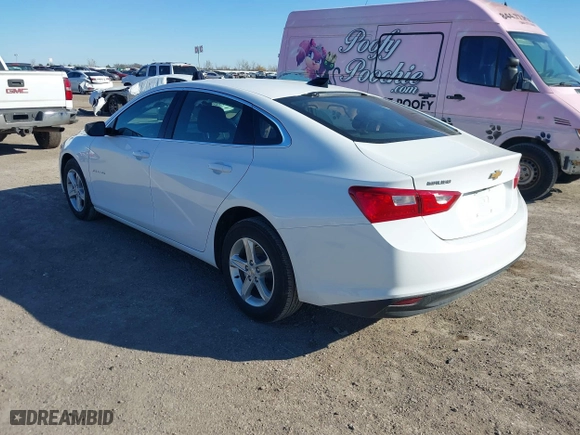 2024 Chevrolet Malibu LS with VIN 1G1ZC5ST4RF192996, listed as a IAAI auction lot 41164546 with 24,917 mi miles. Bid and sale history available at carsss.com. Image 3.