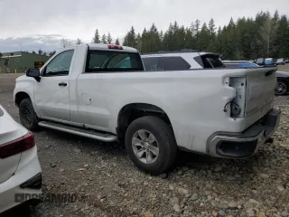 2024 Chevrolet Silverado 1500 Work Truck with VIN 3GCNAAED5RG357087, listed as a Copart auction lot 50007625 with 0 mi miles and Salvage Title. Bid and sale history available at carsss.com. Image 2.