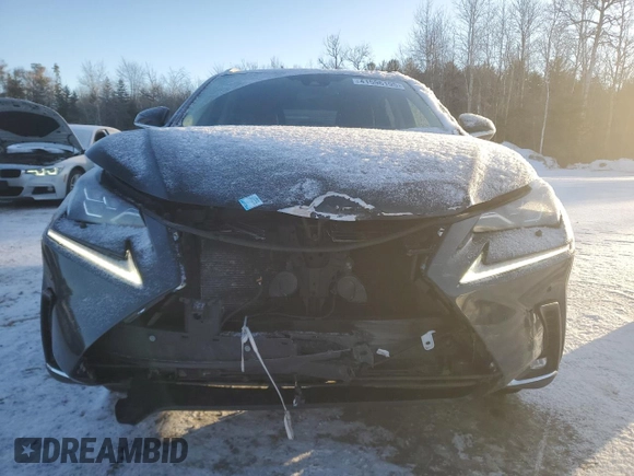 2020 Lexus NX с VIN JTJHARDZ4L5012332, выставлен на аукционе Copart как лот 41596195 с пробегом 63 747 миль миль и Чистый • Clean title. История ставок и продаж доступна на DreamBid. Изображение 5.