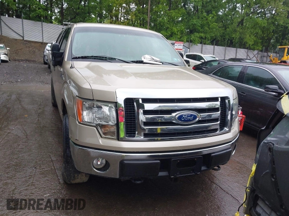 2010 Ford F-150 XL with VIN 1FTFX1EV0AFC83319, listed as a IAAI auction lot 42290517 with 166,472 mi miles and . Bid and sale history available at DreamBid. Image 12.