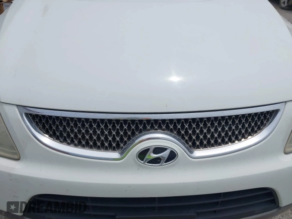 2009 Hyundai Veracruz GLS with VIN KM8NU13C09U081315, listed as a IAAI auction lot 42460456 with 160,000 mi miles and . Bid and sale history available at DreamBid. Image 6.