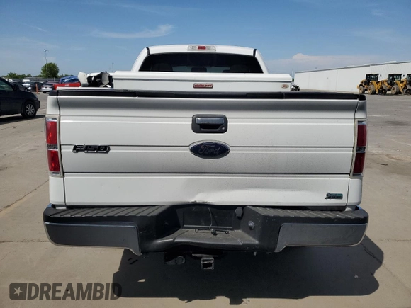 2010 Ford F-150 XL with VIN 1FTFX1CV6AFD04872, listed as a Copart auction lot 53156965 with 194,970 mi miles and Salvage Title. Bid and sale history available at carsss.com. Image 6.