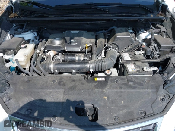 2021 Lexus NX 300 with VIN JTJGARDZ8M5024688, listed as a IAAI auction lot 42331489 with 58,801 mi miles and . Bid and sale history available at DreamBid. Image 10.