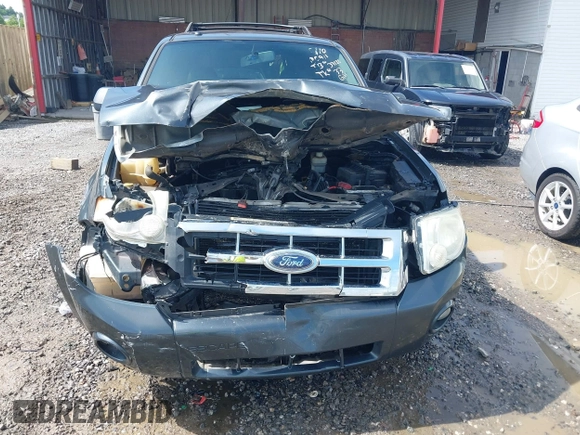 2008 Ford Escape XLT с VIN 1FMCU03198KE78192, выставлен на аукционе IAAI как лот 42260306 с пробегом 270 069 миль миль и . История ставок и продаж доступна на DreamBid. Изображение 6.