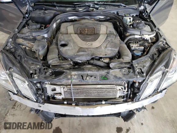 2010 Mercedes-Benz E-Class E 550 Luxury with VIN WDDHF9AB5AA230320, listed as a Copart auction lot 62933264 with 173,002 mi miles and Salvage Title. Bid and sale history available at carsss.com. Image 12.