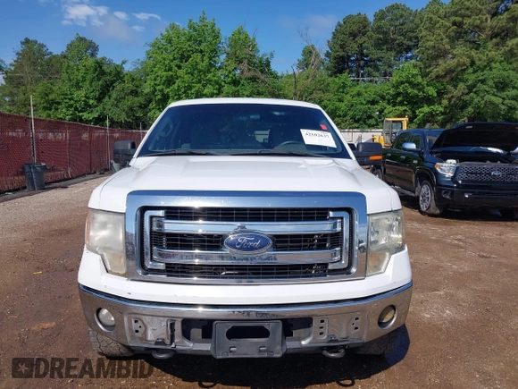 2013 Ford F-150 XL with VIN 1FTFW1EF1DFA80388, listed as a IAAI auction lot 42102637 with 234,706 mi miles. Bid and sale history available at carsss.com. Image 12.