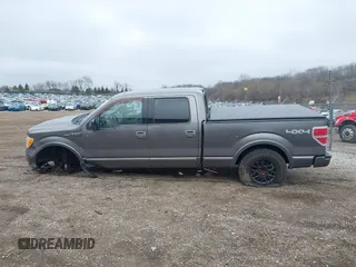 2009 Ford F-150 XL with VIN 1FTPW14V79FA66113, listed as a IAAI auction lot 42001923 with 168,612 mi miles and . Bid and sale history available at DreamBid. Image 15.