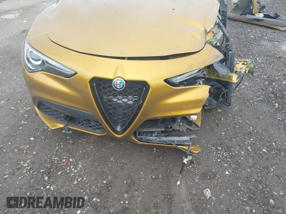 2022 Alfa Romeo Stelvio Veloce z VIN ZASPAKBNXN7D26328, wystawiony jako IAAI lot #42326409 z przebiegiem 42 494 mil mil oraz . Historia ofert i sprzedaży dostępna na DreamBid. Obrazek 18.