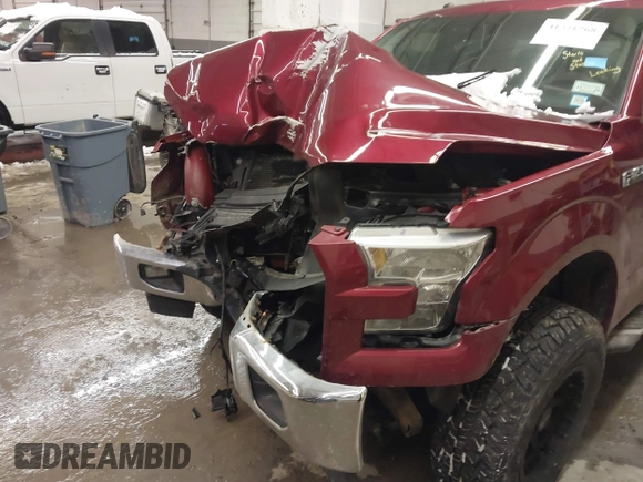 2017 Ford F-150 XL with VIN 1FTFX1EF2HFB15796, listed as a IAAI auction lot 41331268 with 135,179 mi miles. Bid and sale history available at carsss.com. Image 6.