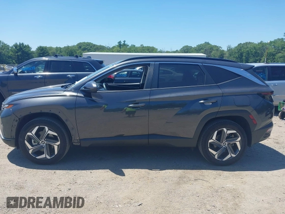 2023 Hyundai Tucson SEL with VIN 5NMJFCAE0PH199415, listed as a IAAI auction lot 42581112 with 29,752 mi miles and . Bid and sale history available at DreamBid. Image 15.