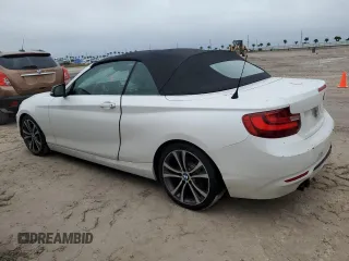 2015 BMW 2 Series 228i with VIN WBA1K5C51FV242629, listed as a Copart auction lot 74613734 with Not provided miles and Salvage title. Bid and sale history available at DreamBid. Image 2.