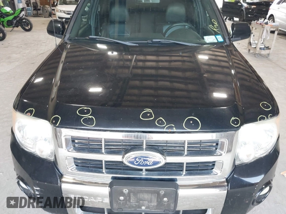 2010 Ford Escape Limited with VIN 1FMCU9E70AKD30170, listed as a IAAI auction lot 42564107 with 141,959 mi miles and . Bid and sale history available at DreamBid. Image 6.