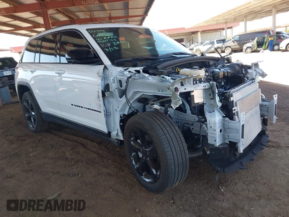 2024 Jeep Grand Cherokee Limited with VIN 1C4RJHBG0RC185384, listed as a IAAI auction lot 41985578 with 8,749 mi miles and . Bid and sale history available at DreamBid. Image 1.