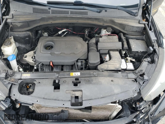2017 Hyundai Santa Fe 2.4L with VIN 5NMZUDLB1HH028028, listed as a Copart auction lot 64431895 with Not provided miles and Salvage title. Bid and sale history available at DreamBid. Image 12.