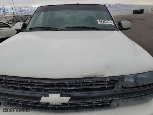 2002 Chevrolet Silverado 1500 LS with VIN 1GCEK19T82Z104382, listed as a Copart auction lot 42391525 with 0 mi miles and Salvage Title. Bid and sale history available at carsss.com. Image 12.