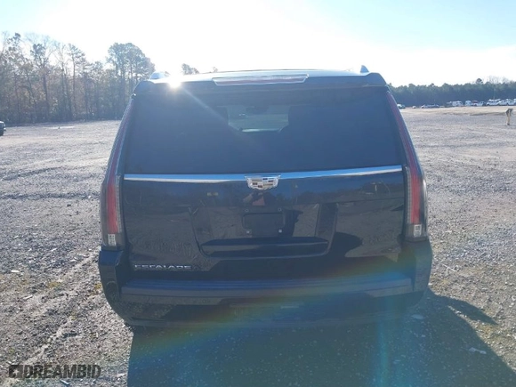 2016 Cadillac Escalade Platinum with VIN 1GYS4DKJ5GR305102, listed as a IAAI auction lot 39906183 with 133,432 mi miles. Bid and sale history available at carsss.com. Image 16.