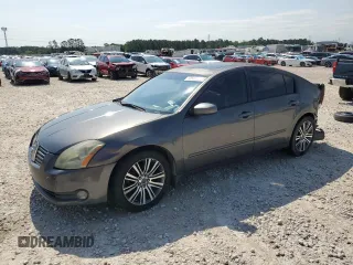 2006 Nissan Maxima SE with VIN 1N4BA41E96C829699, listed as a Copart auction lot 55660985 with Not provided miles and Salvage title. Bid and sale history available at DreamBid. Image 1.