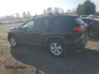 2021 Toyota RAV4 XLE with VIN 2T3P1RFV1MC200455, listed as a Copart auction lot 49230535 with 52,119 mi miles and Salvage Title. Bid and sale history available at carsss.com. Image 2.