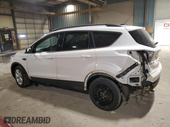 2017 Ford Escape SE with VIN 1FMCU9GD5HUB01596, listed as a Copart auction lot 88322465 with 119,892 mi miles and Non Repairable. Bid and sale history available at DreamBid. Image 2.
