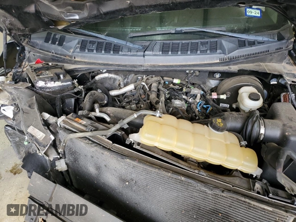 2019 Ford F-150 XL with VIN 1FTEW1CP0KKE47664, listed as a Copart auction lot 54575555 with Not provided miles and Clean title. Bid and sale history available at DreamBid. Image 11.