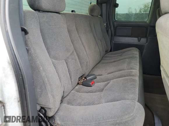 2005 Chevrolet Silverado 1500 LS with VIN 2GCEC19T051297489, listed as a Copart auction lot 56325225 with Not Provided miles and Clean Title. Bid and sale history available at DreamBid. Image 10.