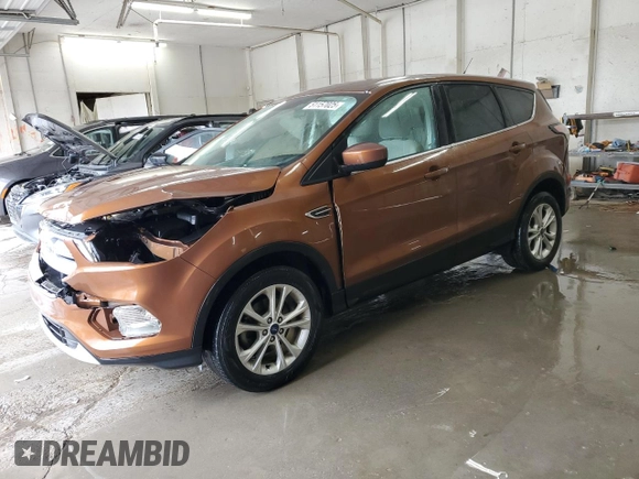 2017 Ford Escape SE with VIN 1FMCU0GD7HUE53039, listed as a Copart auction lot 51157025 with 89,216 mi miles and Salvage Title. Bid and sale history available at DreamBid. Image 1.