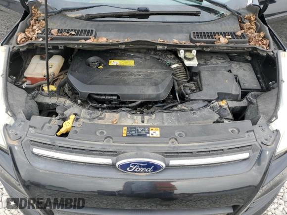 2013 Ford Escape SE with VIN 1FMCU0GX7DUB95657, listed as a Copart auction lot 60882835 with 114,116 mi miles and Clean title. Bid and sale history available at DreamBid. Image 12.