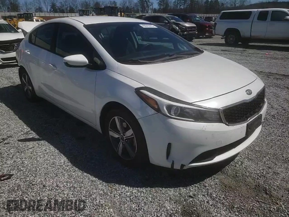 2018 Kia Forte LX with VIN 3KPFL4A75JE225608, listed as a Copart auction lot 49241415 with 188,236 mi miles and Salvage Title. Bid and sale history available at carsss.com. Image 11.