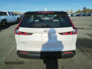 2024 Honda CR-V LX with VIN 5J6RS3H28RL000651, listed as a Copart auction lot 79755844 with 10,117 mi miles and Salvage Title. Bid and sale history available at DreamBid. Image 6.