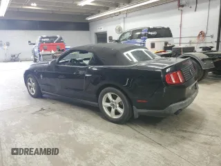 2011 Ford Mustang V6 with VIN 1ZVBP8EM3B5114365, listed as a Copart auction lot 59240225 with 155,501 mi miles and Clean title. Bid and sale history available at DreamBid. Image 2.