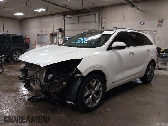 2016 Kia Sorento SX with VIN 5XYPKDA51GG077698, listed as a IAAI auction lot 41501354 with 185,494 mi miles. Bid and sale history available at carsss.com. Image 18.