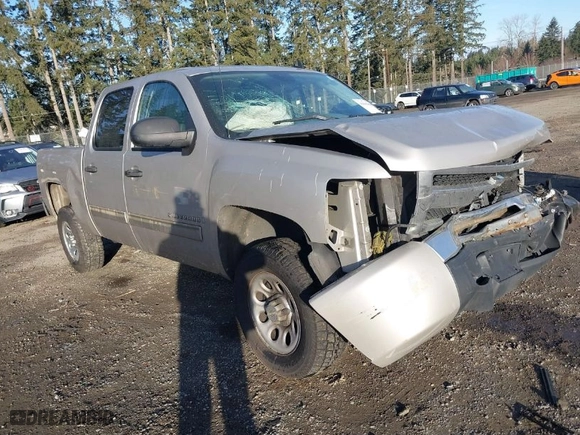 2009 Chevrolet Silverado 1500 LS with VIN 3GCEC13C59G116778, listed as a IAAI auction lot 41686495 with 166,400 mi miles. Bid and sale history available at carsss.com. Image 1.