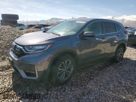 2020 Honda CR-V EX with VIN 7FART6H54LE004452, listed as a Copart auction lot 45871255 with 35,034 mi miles and Salvage Title. Bid and sale history available at DreamBid. Image 1.