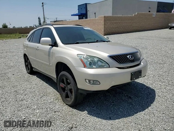 2004 Lexus RX 330 z VIN JTJGA31U840044250, wystawiony jako Copart lot #58206195 z przebiegiem 165 038 mil mil oraz Szkoda całkowita • Salvage title. Historia ofert i sprzedaży dostępna na DreamBid. Obrazek 14.