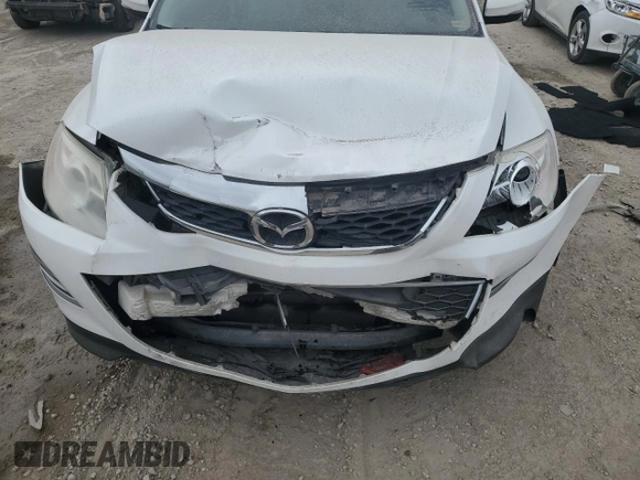2010 Mazda CX-9 Grand Touring with VIN JM3TB2MA2A0220562, listed as a Copart auction lot 44146725 with 255,029 mi miles and Salvage title. Bid and sale history available at DreamBid. Image 14.