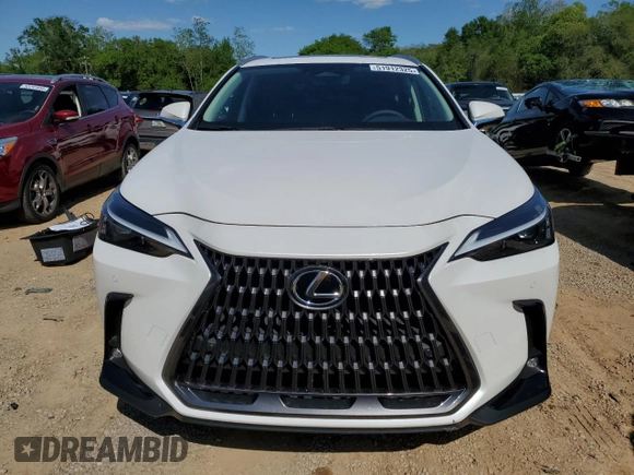 2025 Lexus NX 250 Premium с VIN 2T2GDCAZ6SC016841, выставлен на аукционе Copart как лот 51912325 с пробегом 2 711 миль миль и Списание • Salvage title. История ставок и продаж доступна на DreamBid. Изображение 5.