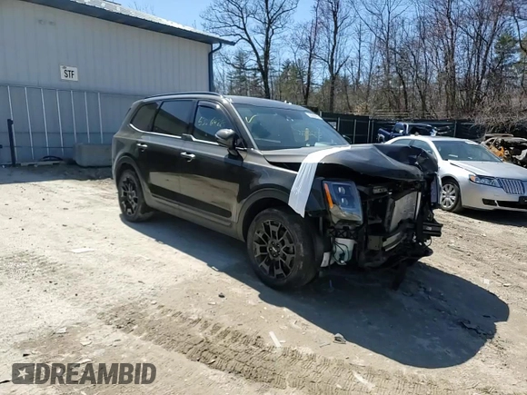 2022 Kia Telluride SX with VIN 5XYP5DHC2NG276672, listed as a Copart auction lot 53269885 with 44,780 mi miles and Salvage title. Bid and sale history available at DreamBid. Image 11.