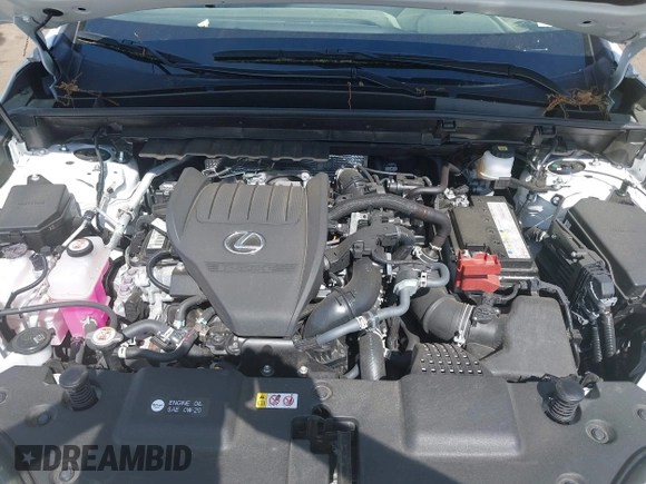2023 Lexus NX 350 Premium with VIN JTJGGCEZ1P5005429, listed as a IAAI auction lot 42221326 with 15,859 mi miles and . Bid and sale history available at DreamBid. Image 10.