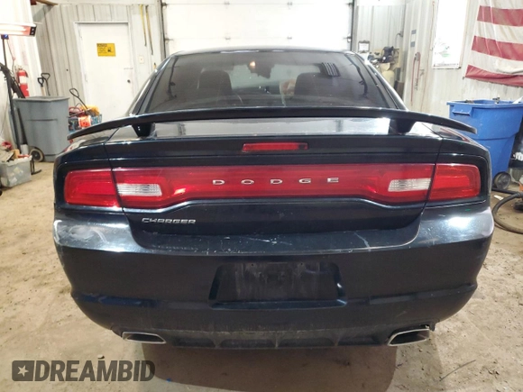 2013 Dodge Charger SE with VIN 2C3CDXBG1DH725486, listed as a Copart auction lot 49420265 with 215,154 mi miles and Salvage Title. Bid and sale history available at DreamBid. Image 6.
