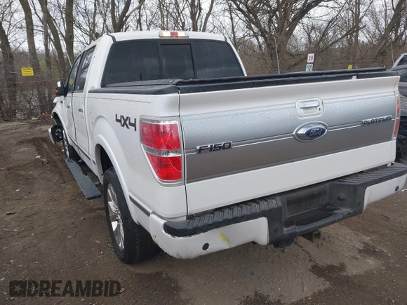 2012 Ford F-150 XL with VIN 1FTFW1ET3CFB09538, listed as a IAAI auction lot 41814952 with 251,908 mi miles. Bid and sale history available at carsss.com. Image 3.