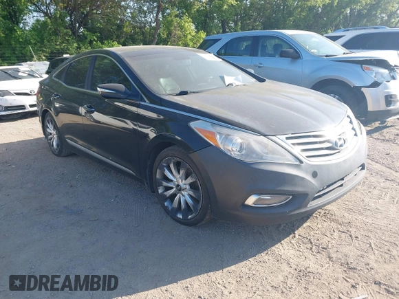 2013 Hyundai Azera with VIN KMHFH4JG9DA198966, listed as a IAAI auction lot 42232410 with 177,041 mi miles and . Bid and sale history available at DreamBid. Image 1.