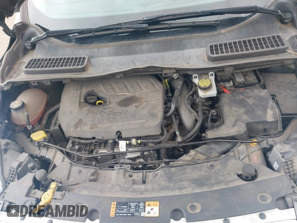 2017 Ford Escape SE with VIN 1FMCU9GD1HUB46034, listed as a IAAI auction lot 41840906 with 143,806 mi miles. Bid and sale history available at carsss.com. Image 10.