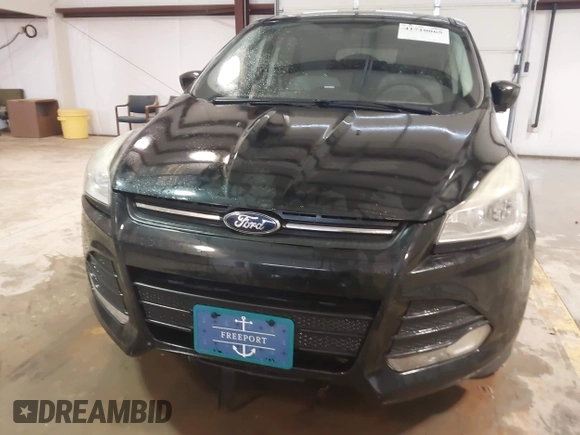2014 Ford Escape SE z VIN 1FMCU9GX6EUB69007, wystawiony jako IAAI lot #41710065 z przebiegiem 113 080 mil mil oraz . Historia ofert i sprzedaży dostępna na DreamBid. Obrazek 11.
