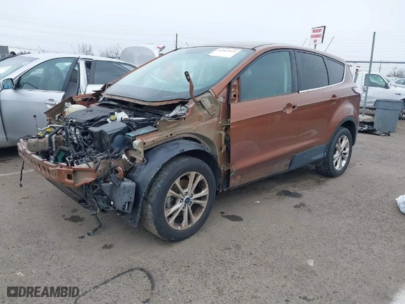 2017 Ford Escape SE with VIN 1FMCU0GD2HUD20589, listed as a IAAI auction lot 41587819 with 119,623 mi miles. Bid and sale history available at carsss.com. Image 2.