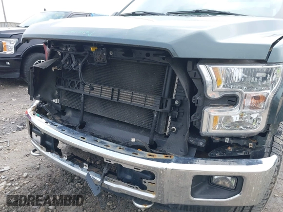 2015 Ford F-150 XLT with VIN 1FTEW1EF3FFA72064, listed as a IAAI auction lot 41888490 with 112,195 mi miles and . Bid and sale history available at DreamBid. Image 6.