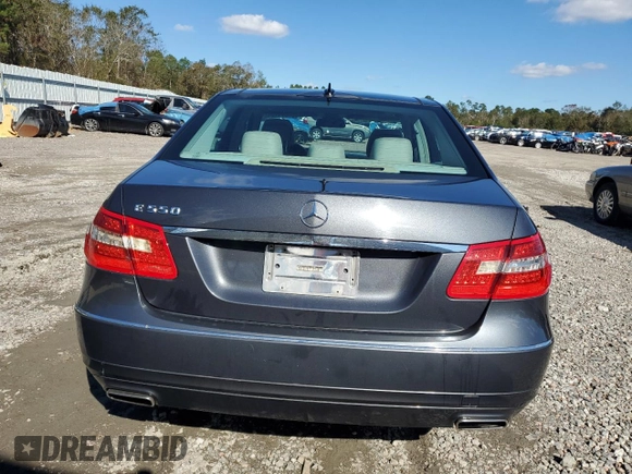 2010 Mercedes-Benz E 550 Luxury with VIN WDDHF7CB4AA213798, listed as a Copart auction lot 81071164 with 287,072 mi miles and Salvage Title. Bid and sale history available at DreamBid. Image 6.